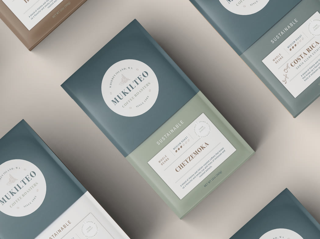 The bag range laid out flat, each roast with its own colour and origin card